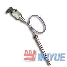 PT125G-123D非标型熔体压力变送器(non-standard melt pressure transmitter)